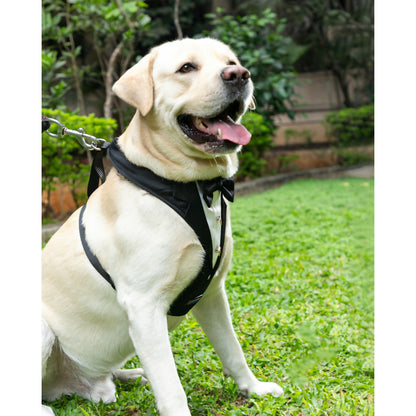 Image 7 of Waggety Tuxedo Dog Harness - Stylish Black & White Design, Adjustable Fit, Durable Fabric, Elegant Pet Harness for Dogs