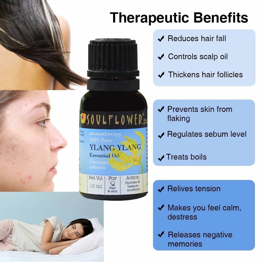 https://cdn.shopify.com/s/files/1/1857/6931/products/D1tAuN8DOu.jpg?v=1614911240