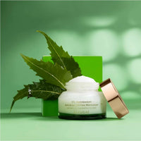 https://cdn.shopify.com/s/files/1/1857/6931/files/D2lpGe7ALZ-108529.jpg?v=1736150934