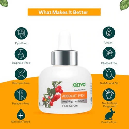 https://cdn.shopify.com/s/files/1/1857/6931/products/D3ScT5ZHPI.jpg?v=1708067683