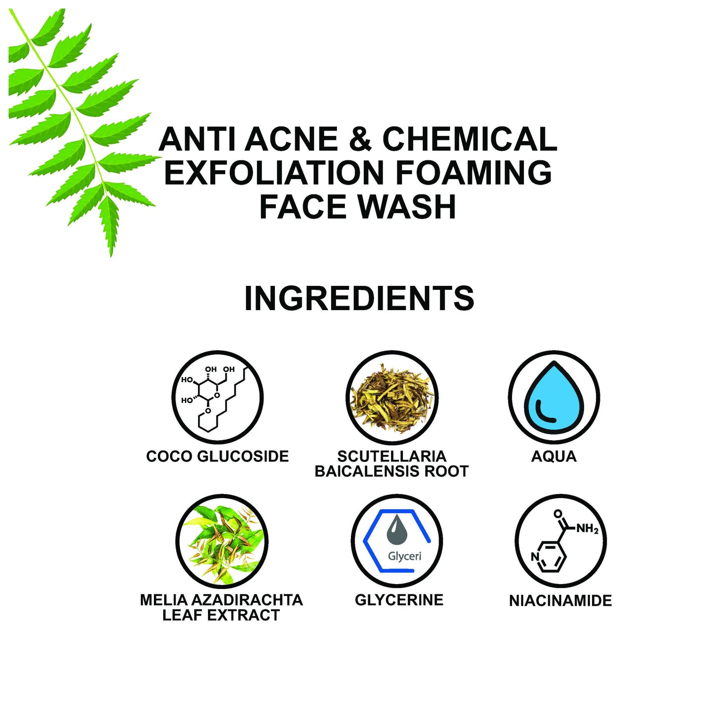 https://cdn.shopify.com/s/files/1/1857/6931/products/D59xZOISCe.jpg?v=1710568715