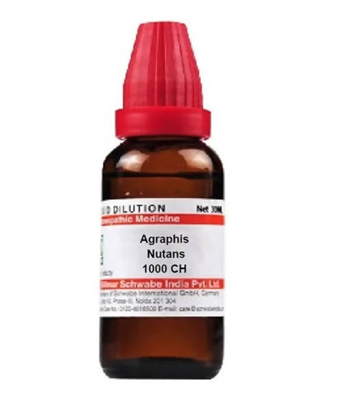 https://cdn.shopify.com/s/files/1/1857/6931/products/D5ODZ6NtLr.jpg?v=1641375890