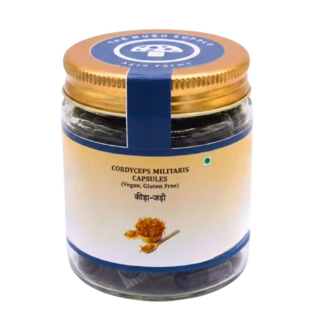 https://cdn.shopify.com/s/files/1/1857/6931/files/D7lTQsd7iX.png?v=1784872418