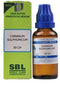 https://cdn.shopify.com/s/files/1/1857/6931/products/D9LuT3u0CR.jpg?v=1632921820