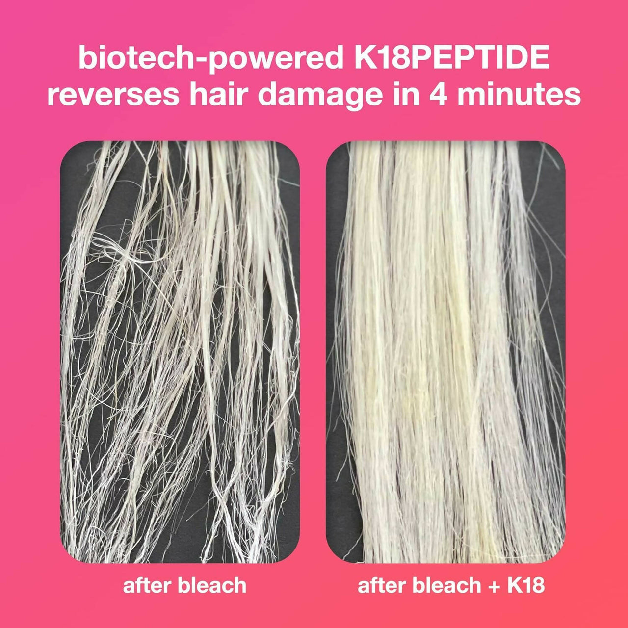 https://cdn.shopify.com/s/files/1/1857/6931/products/D9eGXLHAkB.jpg?v=1699964742
