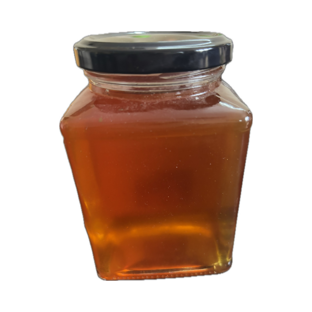https://cdn.shopify.com/s/files/1/1857/6931/files/D9r9ugmgup.png?v=1736944828