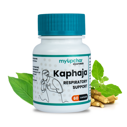 https://cdn.shopify.com/s/files/1/1857/6931/products/DBFiQs3fo7.png?v=1762408691