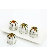 https://cdn.shopify.com/s/files/1/1857/6931/products/DBQbdxWWR9.jpg?v=1716624995