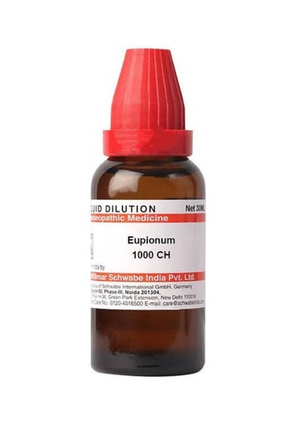 https://cdn.shopify.com/s/files/1/1857/6931/products/DBWx6Y7oPW.jpg?v=1627736039