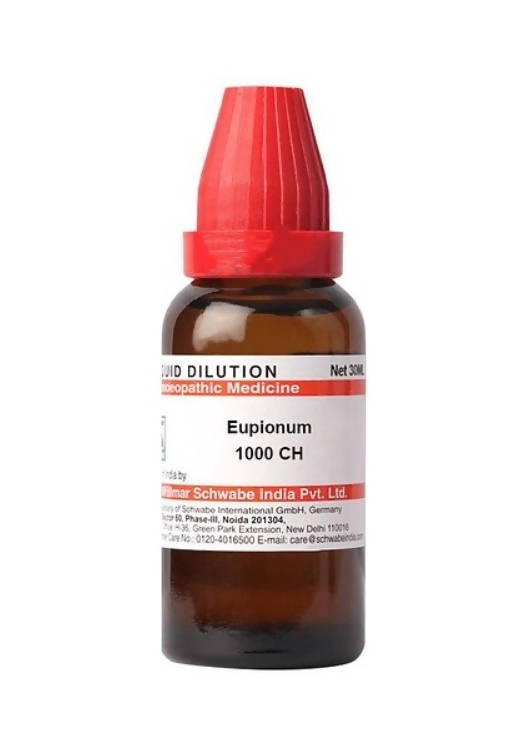https://cdn.shopify.com/s/files/1/1857/6931/products/DBWx6Y7oPW.jpg?v=1627736039