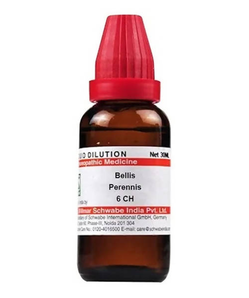 https://cdn.shopify.com/s/files/1/1857/6931/products/DCIrZz9p6t.jpg?v=1640863966