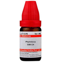 https://cdn.shopify.com/s/files/1/1857/6931/products/DD4kYHAOR0.jpg?v=1655278303