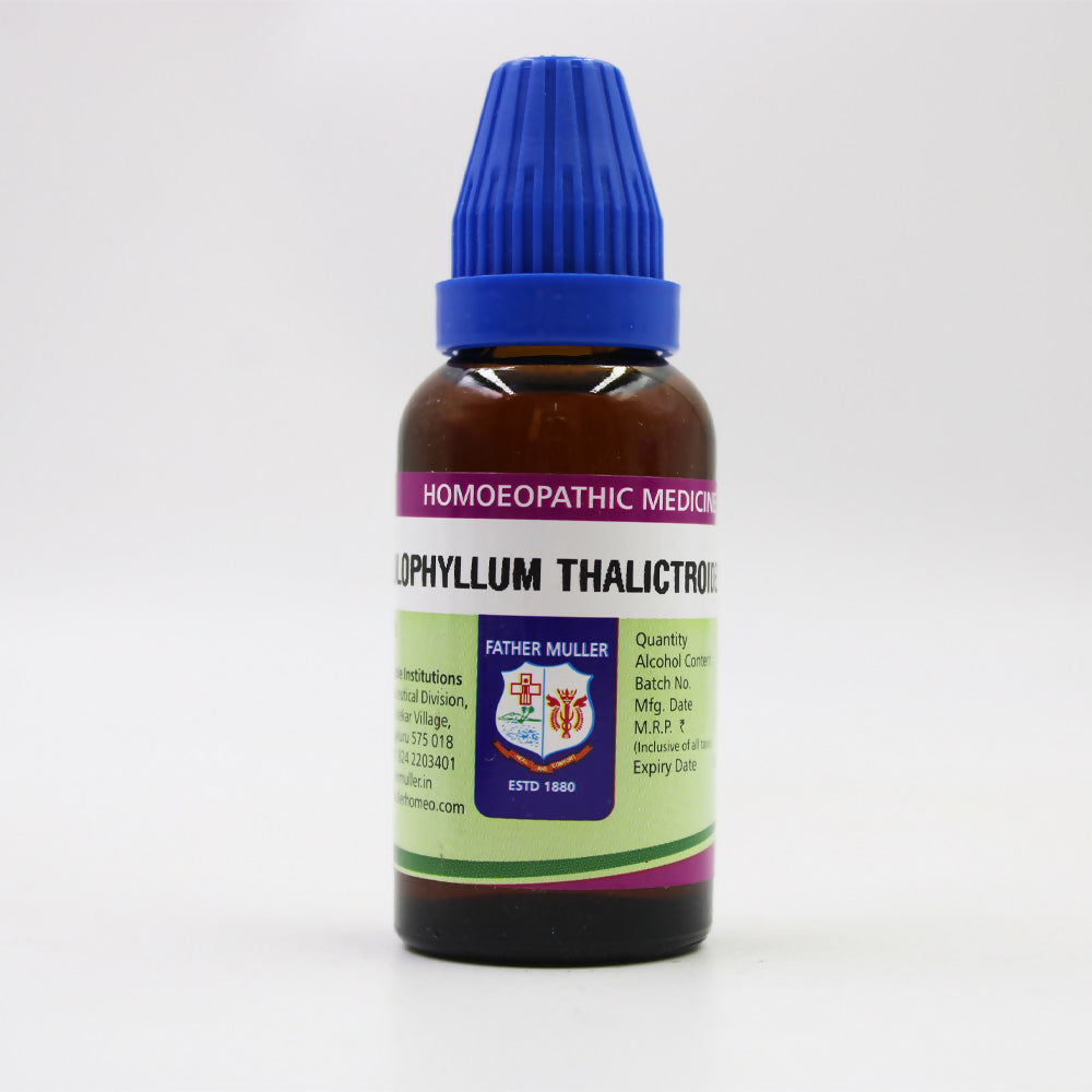 https://cdn.shopify.com/s/files/1/1857/6931/files/DDsbdR5PRv.jpg?v=1718348173