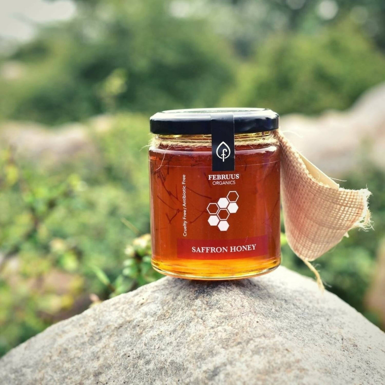 https://cdn.shopify.com/s/files/1/1857/6931/products/DEL9N9YO03.jpg?v=1669976651
