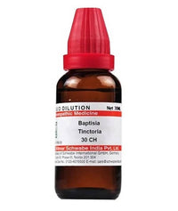 https://cdn.shopify.com/s/files/1/1857/6931/products/DEjM98rwbU.jpg?v=1640863980