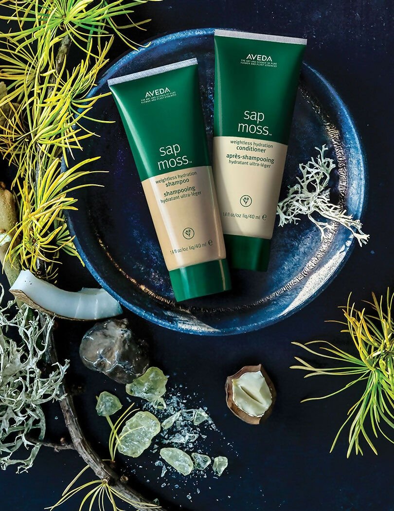 https://cdn.shopify.com/s/files/1/1857/6931/files/DFgYk9mNv0-706642.jpg?v=1736150298