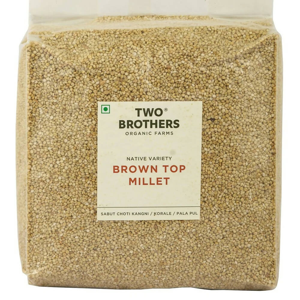 https://cdn.shopify.com/s/files/1/1857/6931/products/DHR4tnEgyT.jpg?v=1673351149