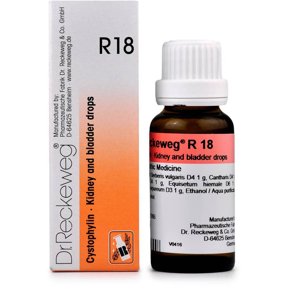 https://cdn.shopify.com/s/files/1/1857/6931/products/DIP6L304Kx.jpg?v=1737559467