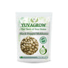 Image 1 of 100 gm for the product Yuvagrow Black Pepper Makhana