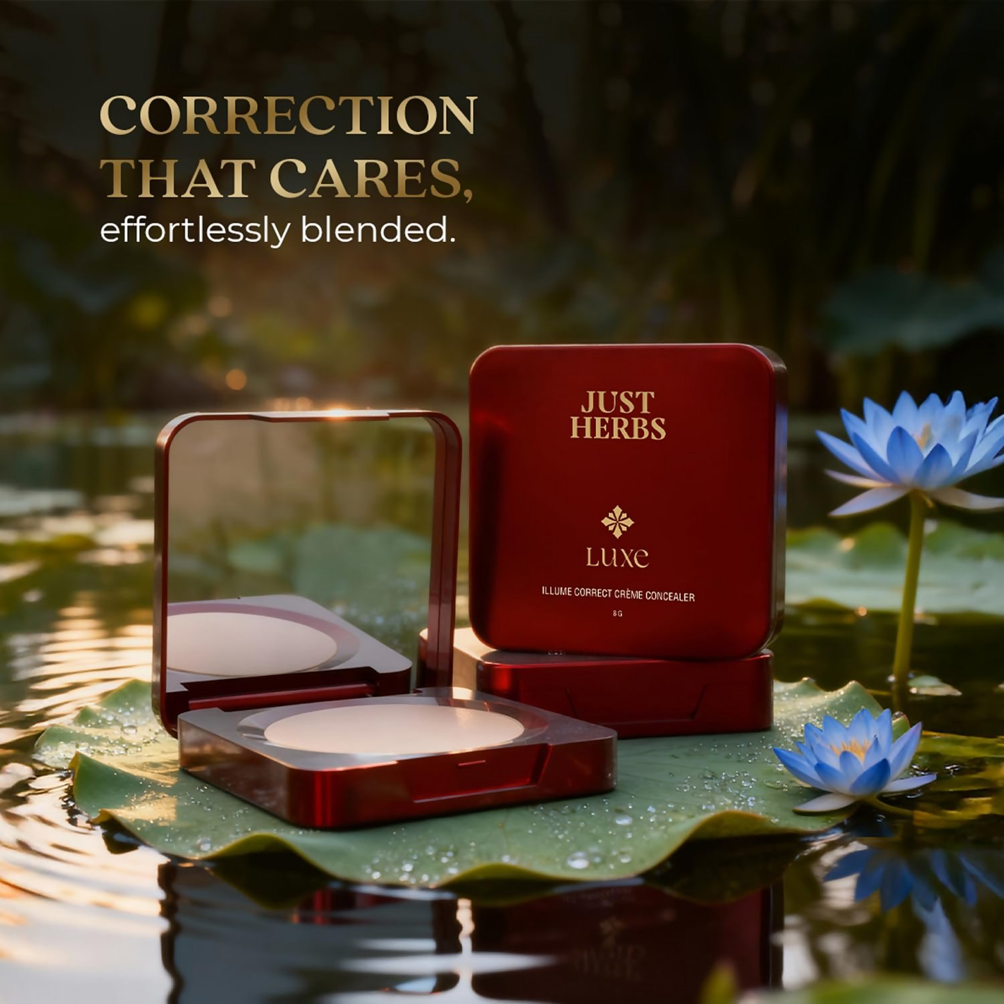 https://cdn.shopify.com/s/files/1/1857/6931/files/DKQmMokc2C.png?v=1776875278