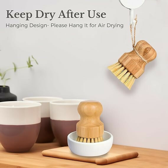 https://cdn.shopify.com/s/files/1/1857/6931/files/DNEs3PvPw3.jpg?v=1783503865