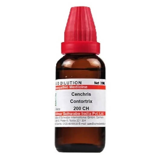 https://cdn.shopify.com/s/files/1/1857/6931/products/DOb6DUmGnW.jpg?v=1641298057