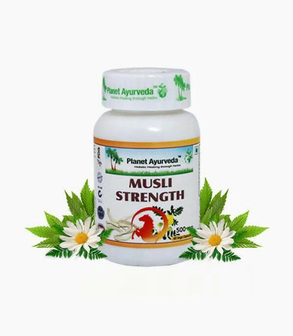 https://cdn.shopify.com/s/files/1/1857/6931/products/DOo42sJJ6e.jpg?v=1762350715