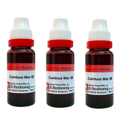 https://cdn.shopify.com/s/files/1/1857/6931/files/DR.R-GENIE-53381-03_22f42469-5778-4c73-ae76-3d0e6abc89d0.jpg?v=1756823435