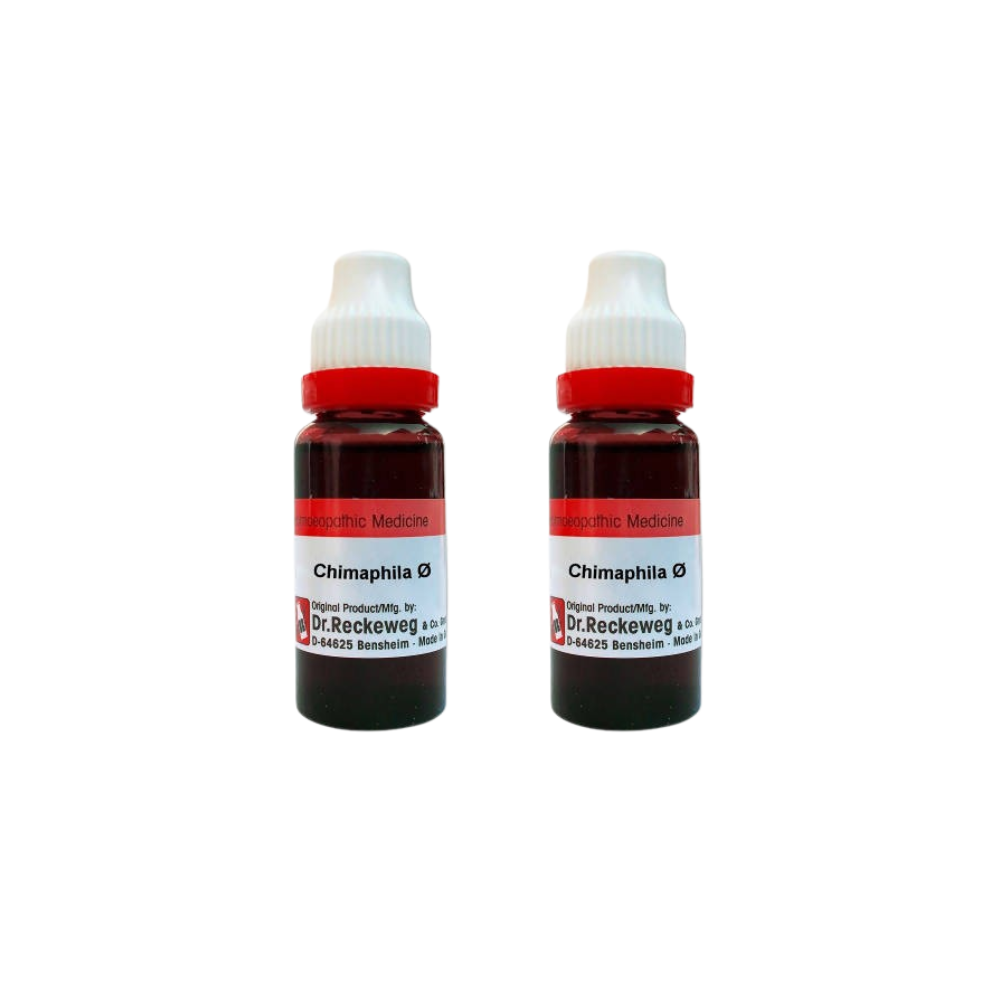 https://cdn.shopify.com/s/files/1/1857/6931/files/DR.R-GENIE-53386-01_2fc9754b-20a4-47d1-a26b-7ee41166d934.png?v=1756823177