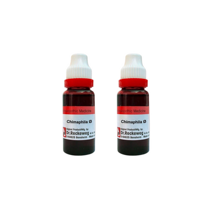https://cdn.shopify.com/s/files/1/1857/6931/files/DR.R-GENIE-53386-01_2fc9754b-20a4-47d1-a26b-7ee41166d934.png?v=1756823177
