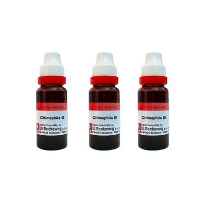 https://cdn.shopify.com/s/files/1/1857/6931/files/DR.R-GENIE-53388-03_e3fa9f00-e010-445c-899c-dc1884587519.png?v=1756823177