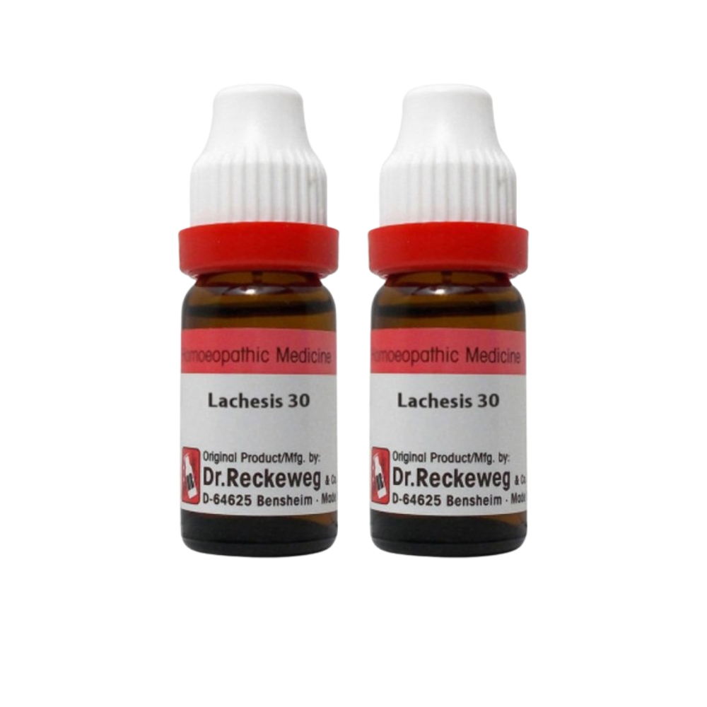 https://cdn.shopify.com/s/files/1/1857/6931/files/DR.R-GENIE-53423-06_79a77a40-8b1c-4423-9ef3-f679ee9f3fa5.png?v=1756824518