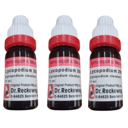 https://cdn.shopify.com/s/files/1/1857/6931/files/DR.R-GENIE-54914-12_48a9e302-367d-4bb0-94ee-1ad0ec249856.jpg?v=1756823315