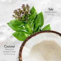 https://cdn.shopify.com/s/files/1/1857/6931/products/DRCIptLcBp.jpg?v=1697011296