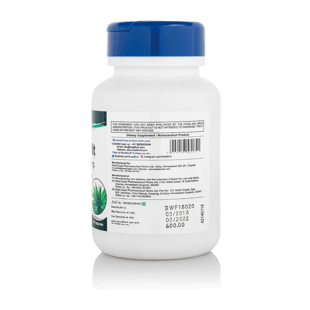 https://cdn.shopify.com/s/files/1/1857/6931/products/DS7Wmg38rI.jpg?v=1670502373