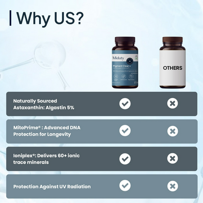 https://cdn.shopify.com/s/files/1/1857/6931/files/DTun0NLB36.png?v=1757156292