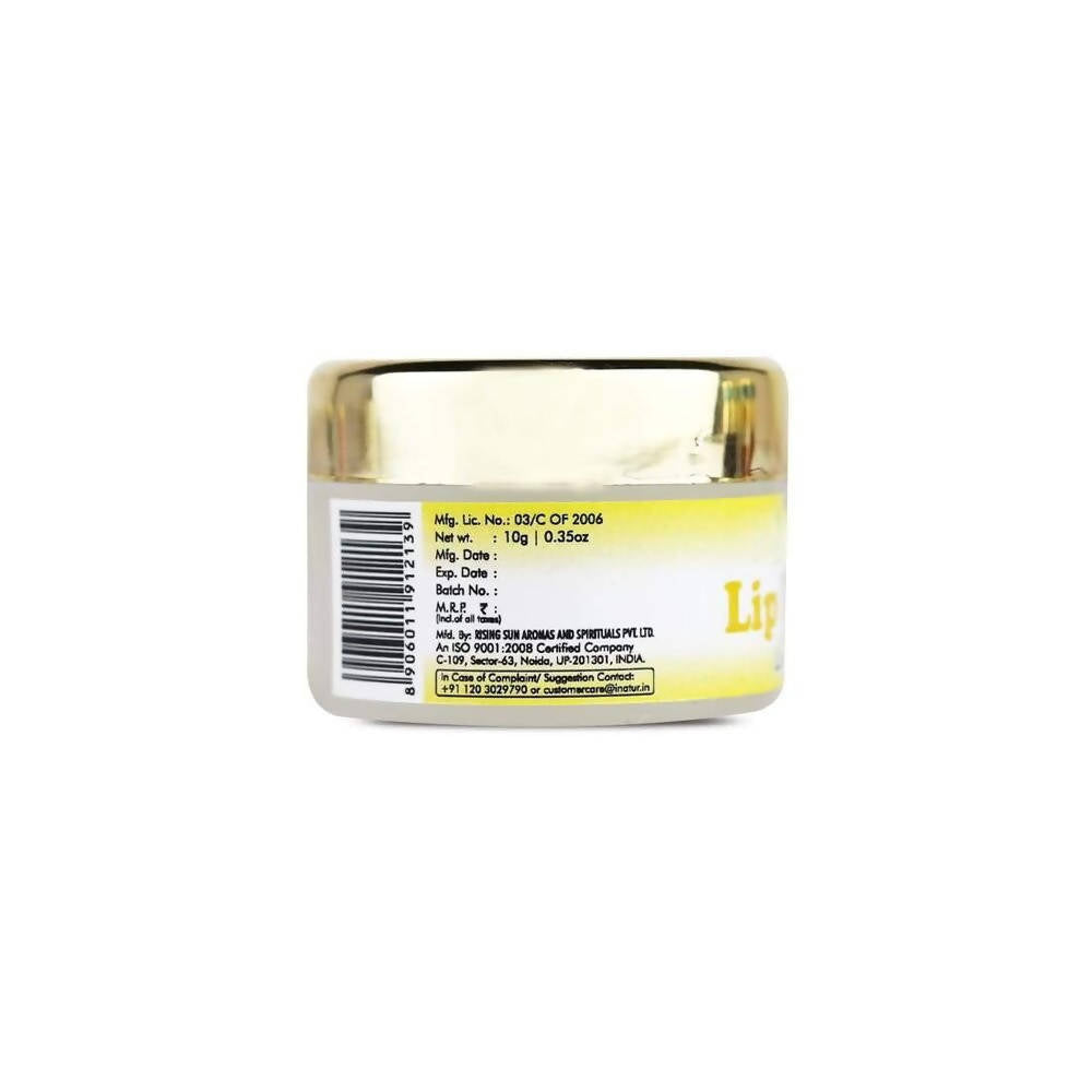 https://cdn.shopify.com/s/files/1/1857/6931/products/DWVXowSN7J.jpg?v=1638008351