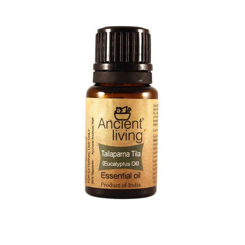 https://cdn.shopify.com/s/files/1/1857/6931/files/DYh04AGTYM-892861.jpg?v=1736147459