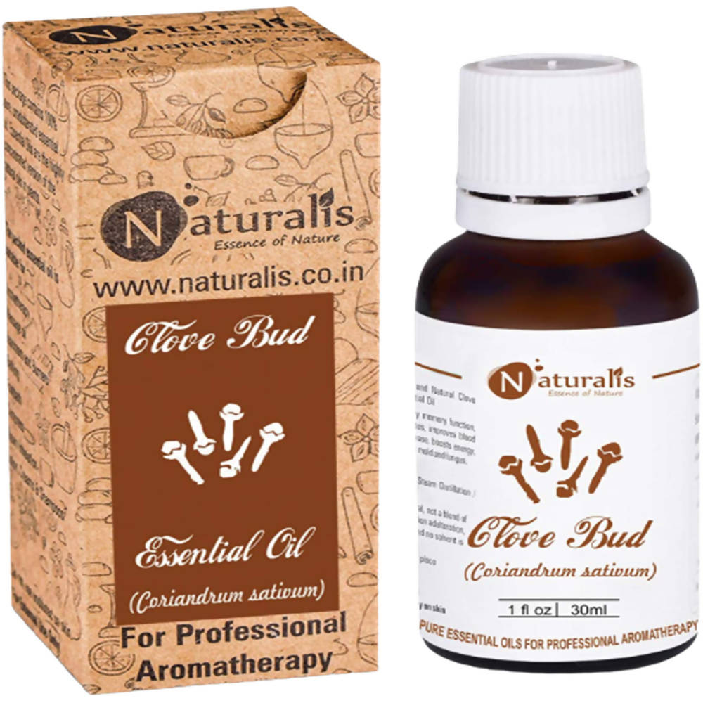 https://cdn.shopify.com/s/files/1/1857/6931/products/DZAJkO1wXV.jpg?v=1623409848