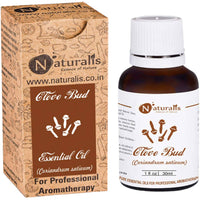 https://cdn.shopify.com/s/files/1/1857/6931/products/DZAJkO1wXV.jpg?v=1623409848