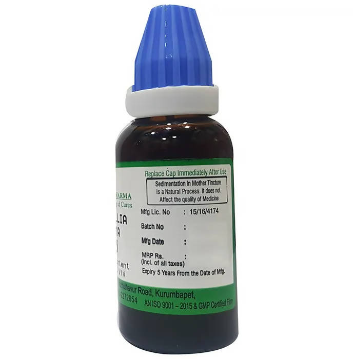 https://cdn.shopify.com/s/files/1/1857/6931/products/DaHiMgiZ6C.jpg?v=1660134342