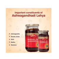 https://cdn.shopify.com/s/files/1/1857/6931/products/Dabur-Ashwagandhadi-Lehya-400gm.png?v=1614323821
