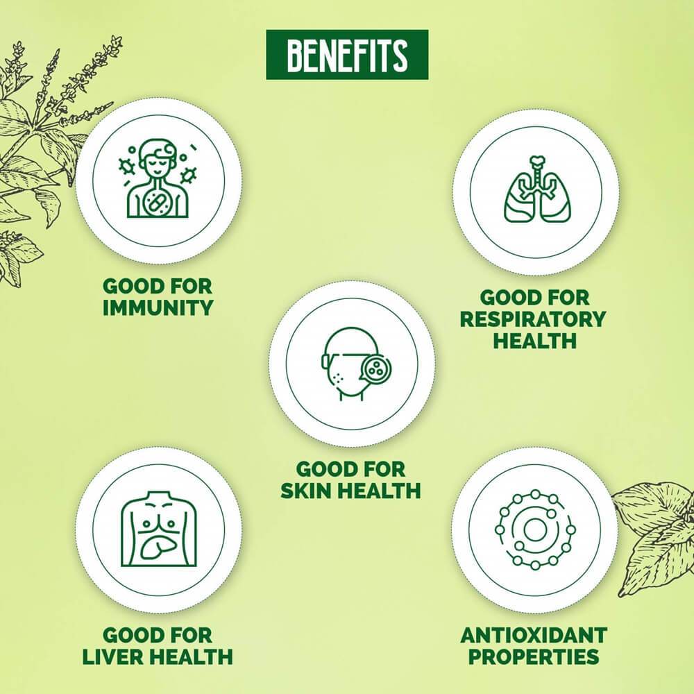 https://cdn.shopify.com/s/files/1/1857/6931/products/Dabur-Giloy-Neem-Juicewith-Tulsi-Benefits.jpg?v=1737559813