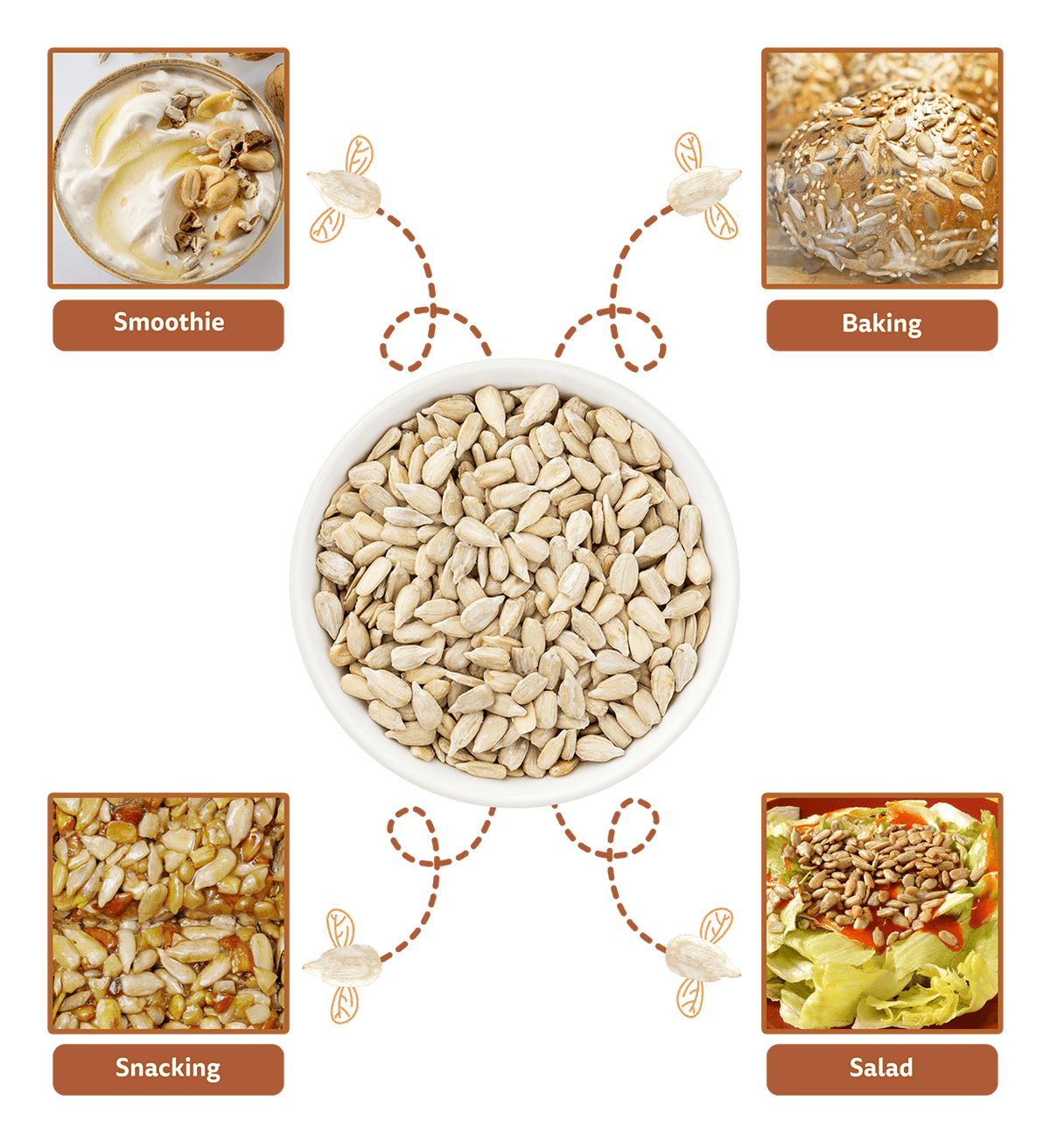 Image 7 of Fabeato Natural Premium Raw Seeds Combo