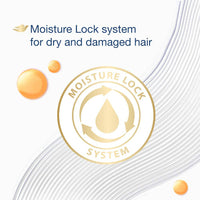 https://cdn.shopify.com/s/files/1/1857/6931/products/DcGwcLTqCK.jpg?v=1647496200