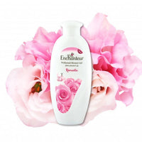 https://cdn.shopify.com/s/files/1/1857/6931/products/Df9BXTwbgA.jpg?v=1648104084
