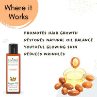 https://cdn.shopify.com/s/files/1/1857/6931/products/DhWCB3HAeR.jpg?v=1664005258