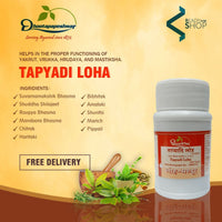 https://cdn.shopify.com/s/files/1/1857/6931/products/DhootapapeshwarTapyadiLoha1.jpg?v=1621425763