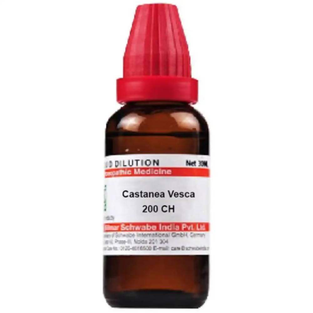 https://cdn.shopify.com/s/files/1/1857/6931/products/DhpNFSODj2.jpg?v=1613912199