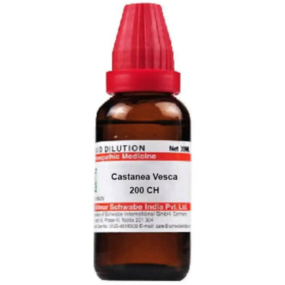 https://cdn.shopify.com/s/files/1/1857/6931/products/DhpNFSODj2.jpg?v=1613912199